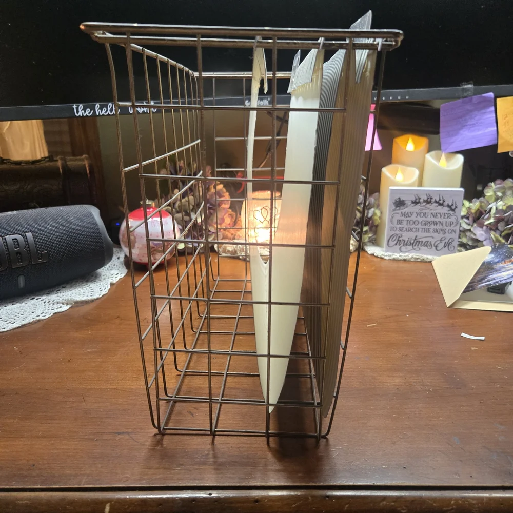 Wire Hanging File Organizer